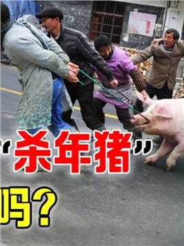 黑龙江女子过年杀猪，发视频后引起热议，为啥私自杀猪会被罚款？#奇闻异事#知识创作人#科普知识 (2)