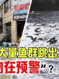 台湾地震前，有民众拍到鱼群跳出水面，真的是巧合吗？#科普一下#台湾地震#涨知识#地震预警 (2)