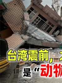 台湾地震前，有民众拍到鱼群跳出水面，真的是巧合吗？#科普一下#台湾地震#涨知识#地震预警 (1)
