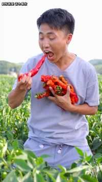 辣椒可是个好东西 我们贵州人离不开它#我的乡村生活