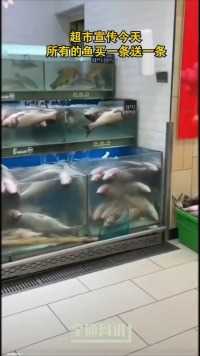 超市宣传今天所有的鱼买一条送一条