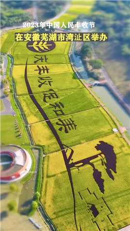 2023年中国农民丰收节活动在安徽芜湖举办，农民以田为“纸”以稻为“墨”，鸠兹湾巨幅稻田画即将进入最佳观赏期