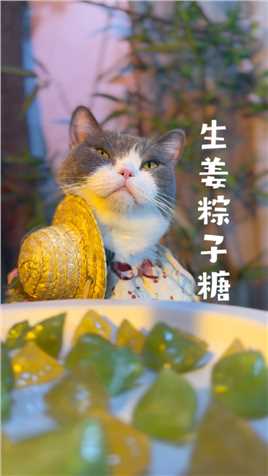 听说江南人才会做的粽子糖？这是真的吗？小猫猫哄你们吃生姜，冬吃萝卜夏吃姜哦！