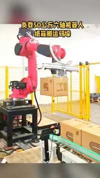 纸箱搬运码垛机器人#码垛机器人 #工业自动化 