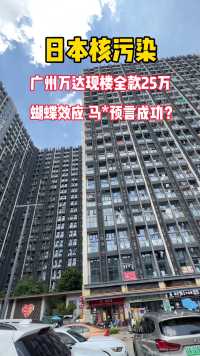 广州终于安家了，以后再也不是去广州，而是回广州，两房两厅总价25万，付了6万 月供2160 恭喜自己有家了，加油✌️。#广州公寓 #loft复式 #创作灵感