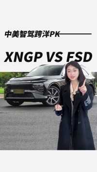 中美智驾跨洋PK—— XNGP VS FSD